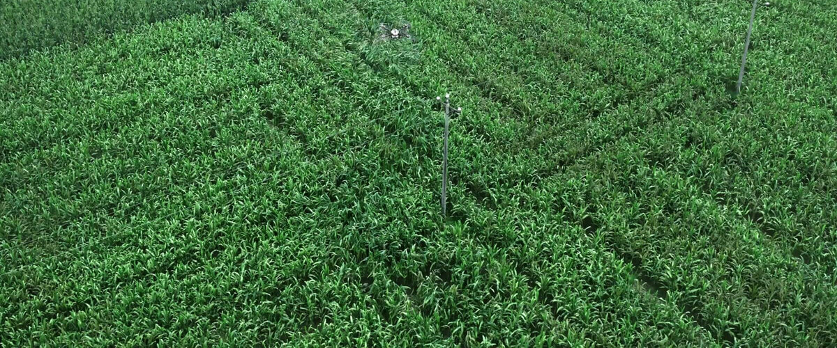 Drone agrícola pulverizando lavoura
