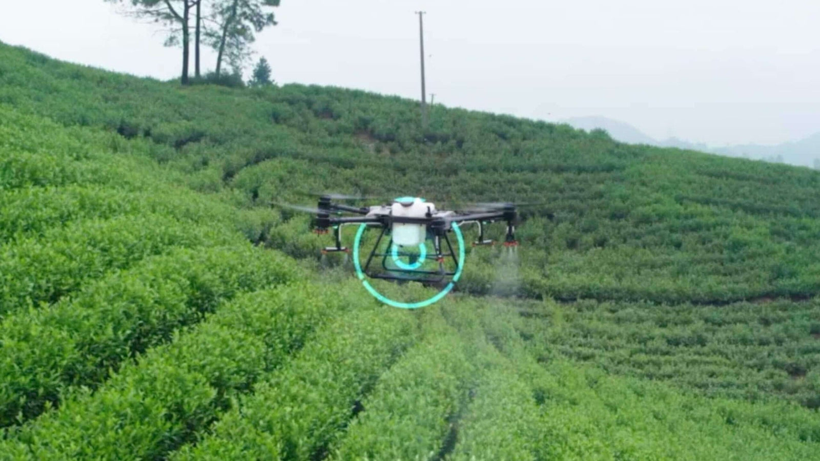 Drone agrícola DJI Agras T30 pulverizando