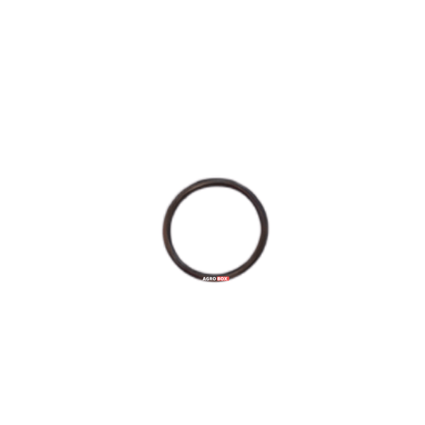 Anel de vedação interno do bico aspersor (OD=23.6 mm) DJI Agras T100 | YC.JG.MY001829.02