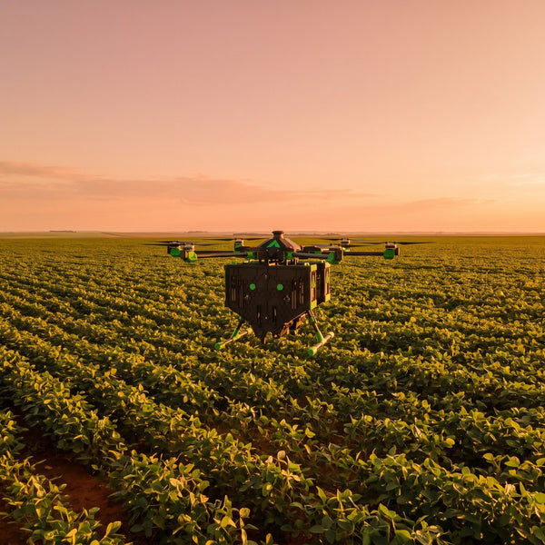 Drone NX Bio Raven em voo sobre lavoura de soja ao entardecer