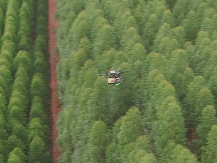 Talhão de eucalipto com carreador de terra, com o FOREST em voo sobre as linhas