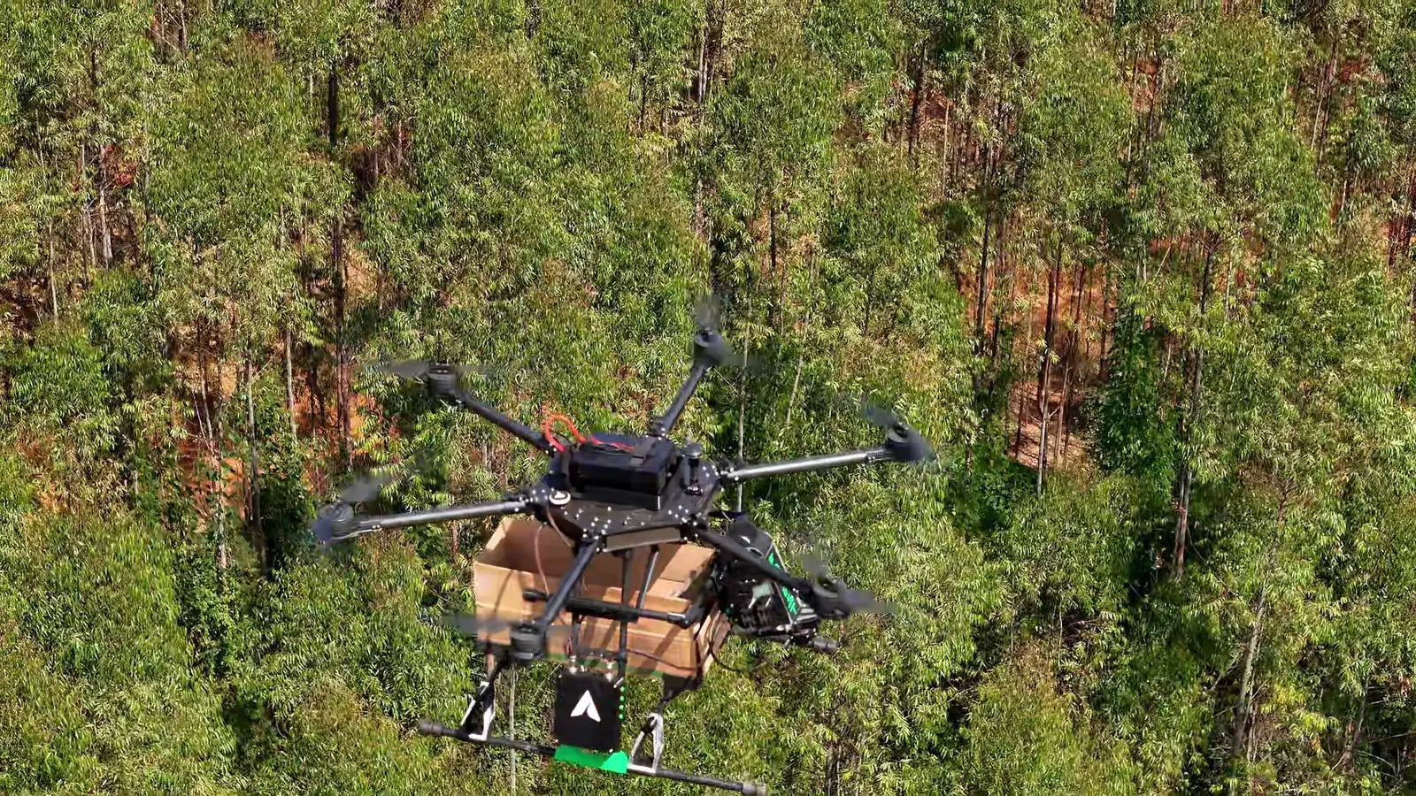 FOREST em voo sobre talhão de eucalipto, com a caixa de isca e o dispenser acoplados