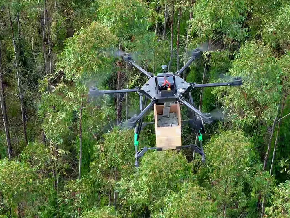 FOREST em voo sobre eucalipto, visto de cima, com a caixa de isca carregada